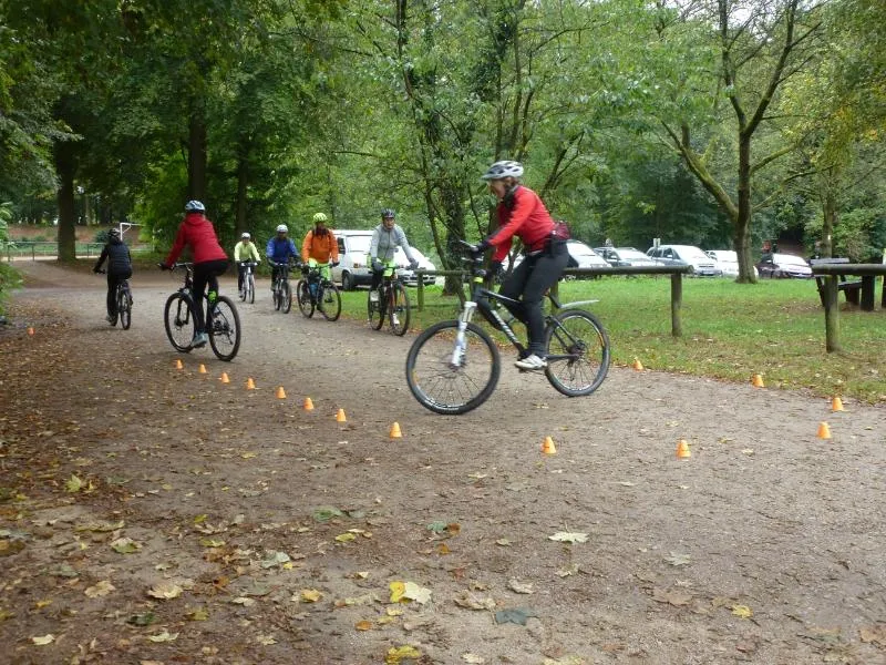 Kurventechnik – Blickführung & Linienwahl im Wald